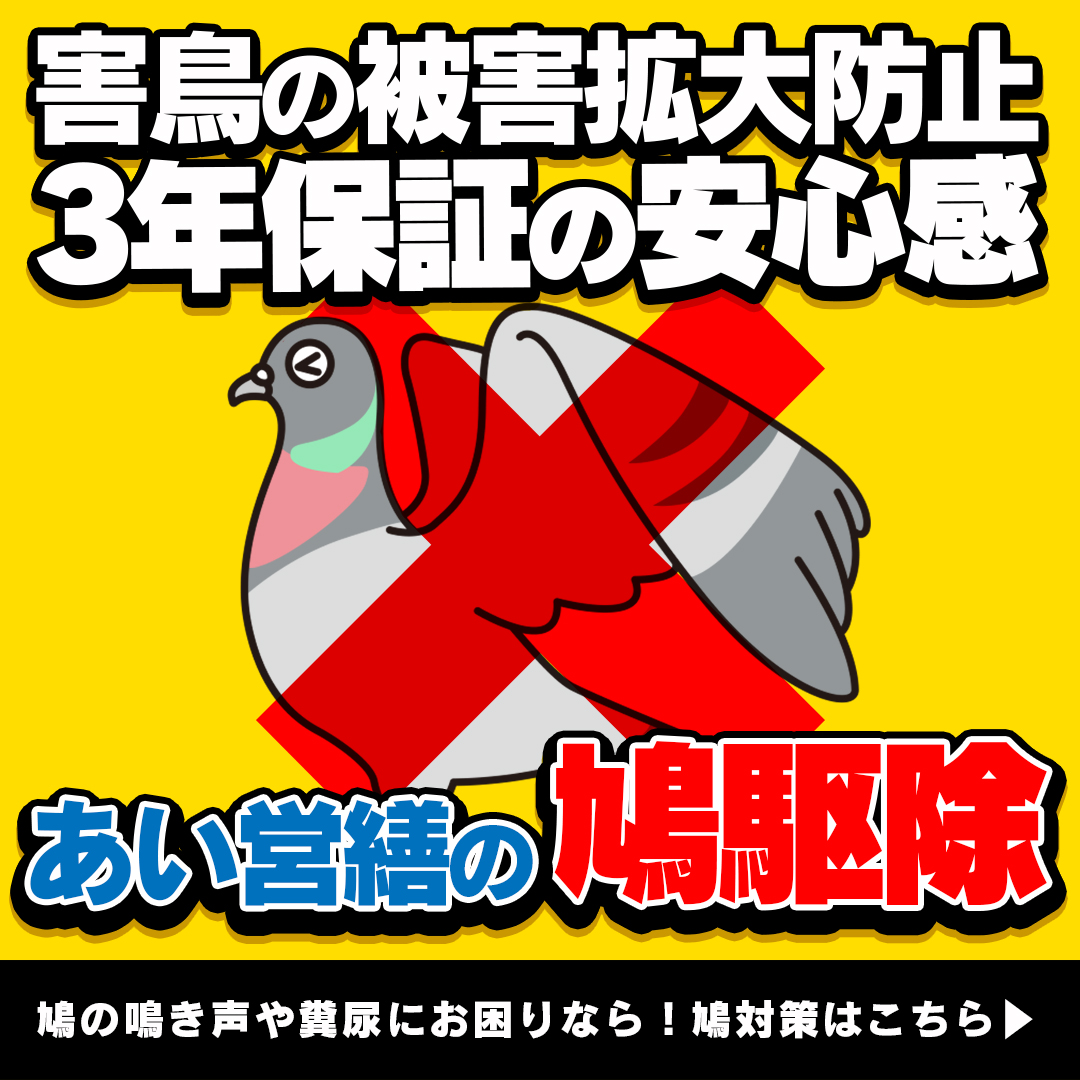 一戸建ての鳩駆除は自分でできるの 被害と対策の概要を業者が解説 福岡 北九州 下関のシロアリ駆除 害獣駆除はあい営繕へ