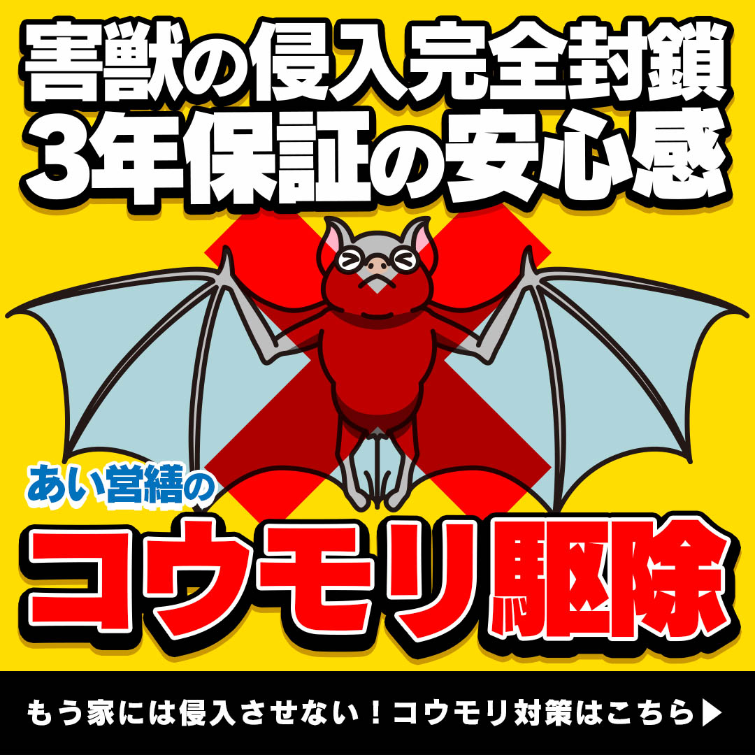 コウモリのフンの特徴は 自分でできる処理法も詳しくご紹介します 福岡 北九州 下関のシロアリ駆除 害獣駆除はあい営繕へ