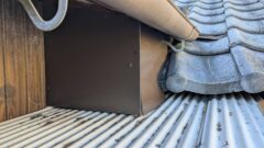 アライグマ　飯塚市