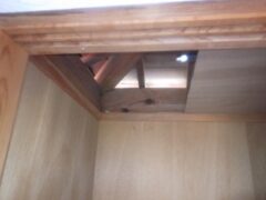 アライグマ駆除　小倉北区