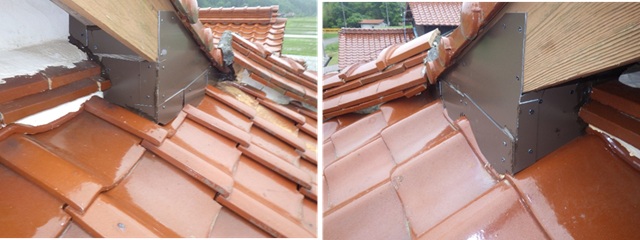 アライグマ駆除　小倉北区