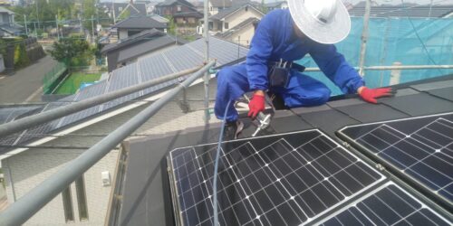 鳩の被害で困った！効果的な対策の出来る鳩駆除業者を福岡で探す