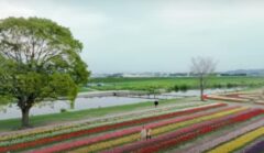 飯塚市　シロアリ駆除