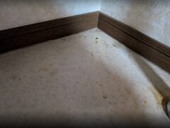 イタチ駆除　福岡市東区