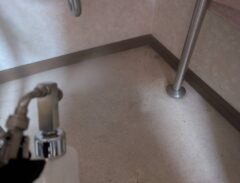 イタチ駆除　福岡市東区