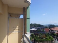 鳩駆除　田川市