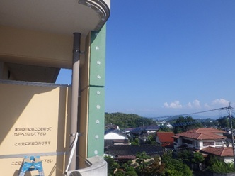 鳩駆除 田川市