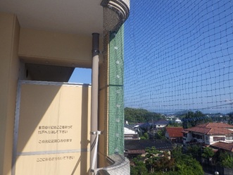 鳩駆除 田川市