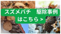 スズメバチ駆除事例