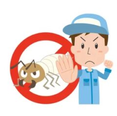 木造 鉄筋住宅 シロアリ