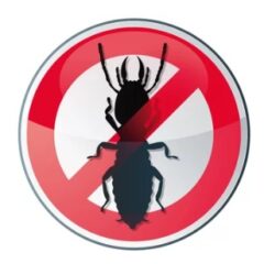 季節別 シロアリ対策