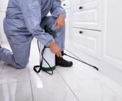 シロアリ駆除　新築　築浅　必要性