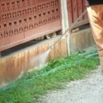 シロアリ　定期的な予防