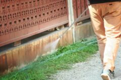 シロアリ　定期的な予防