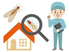 シロアリ駆除　新築　築浅　必要性