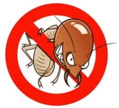 シロアリ駆除　見積もり　高額　適切