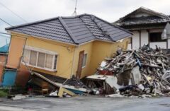 シロアリ 健康被害