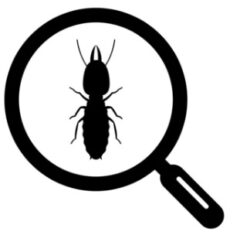 シロアリ駆除　新築　築浅　必要性