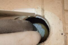 ネズミ駆除