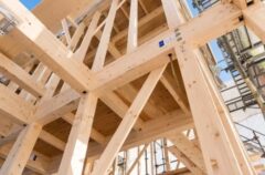 シロアリ駆除　新築　築浅　必要性