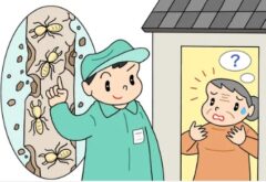 シロアリ駆除の相場