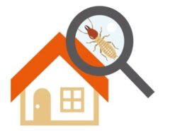 シロアリ駆除 費用 30坪