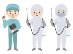 シロアリか他の昆虫か