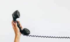 コウモリ 駆除できない理由