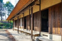 コウモリ 駆除できない理由