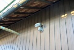 イタチ駆除 ホームセンター