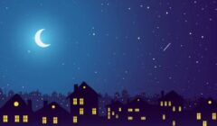 ハクビシン 鳴き声