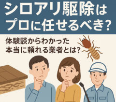 福岡のシロアリ駆除