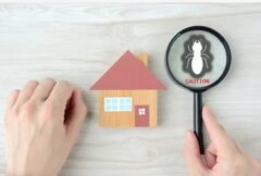 シロアリが来ない家の特徴は