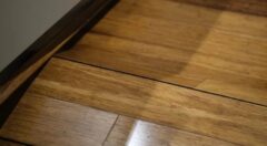 シロアリに家をやられたら家は壊れるのか