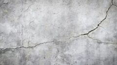 シロアリに家をやられたら家は壊れるのか