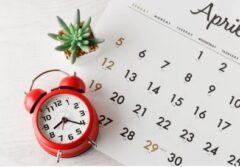 シロアリ駆除 何日かかる