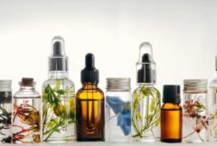 シロアリが嫌いなもの