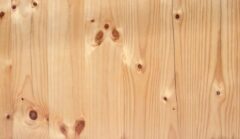 シロアリが嫌いなもの