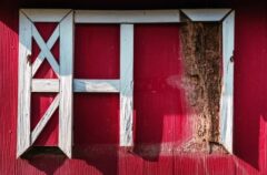 シロアリ駆除 一軒家