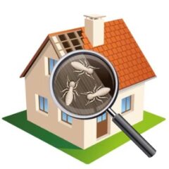 シロアリ　家の資産価値