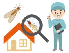 シロアリ 初期症状