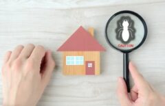 シロアリ駆除 何日かかる