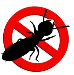 シロアリが嫌いなもの