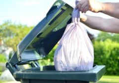 ハクビシン対策