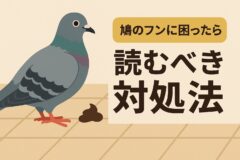 鳩　フン