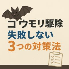 コウモリ駆除