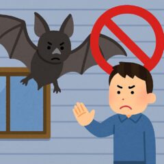 コウモリ駆除