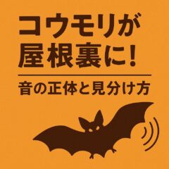 コウモリ 屋根裏 音