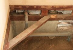 コウモリ 屋根裏 音