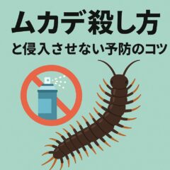 ムカデ 殺し方